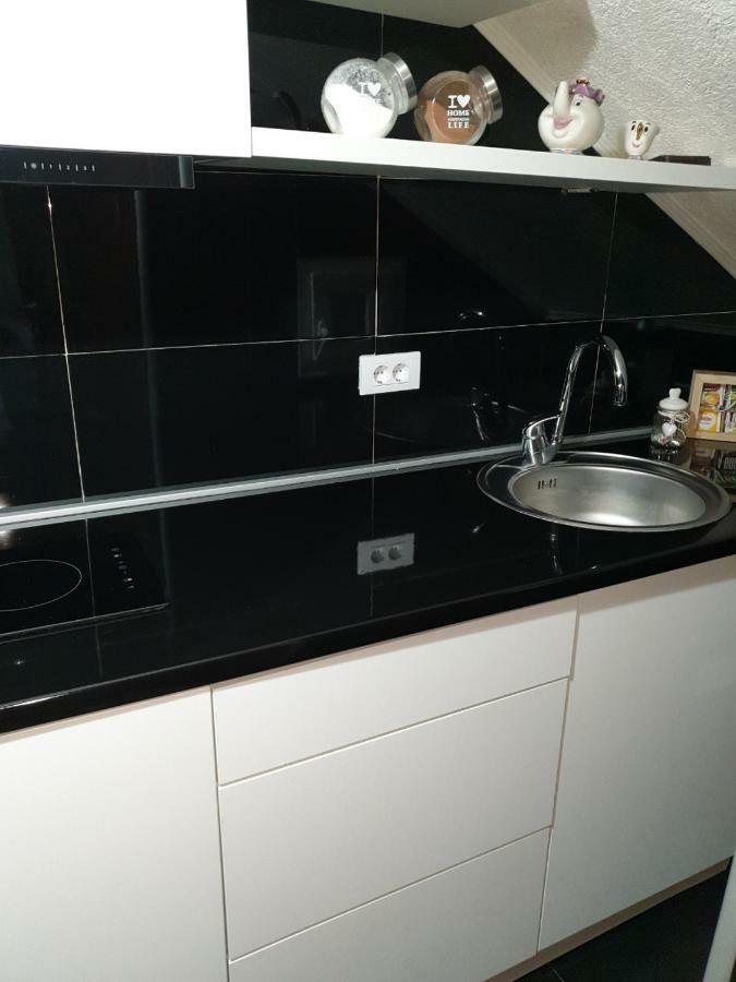 Apartment Vuk *